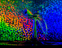 Water Drops II