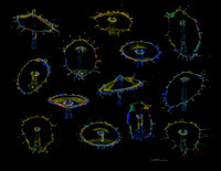 Water Drops II