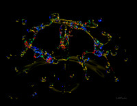 Water Drops II