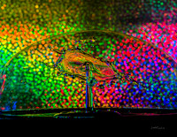 Water Drops II
