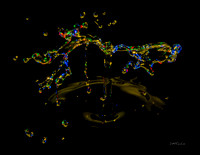 Water Drops II
