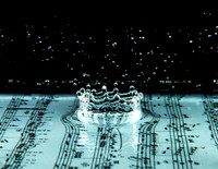 Water Drops