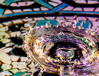 Water Drops