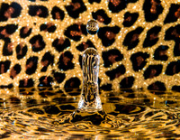 Water Drops