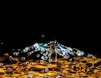 Water Drops