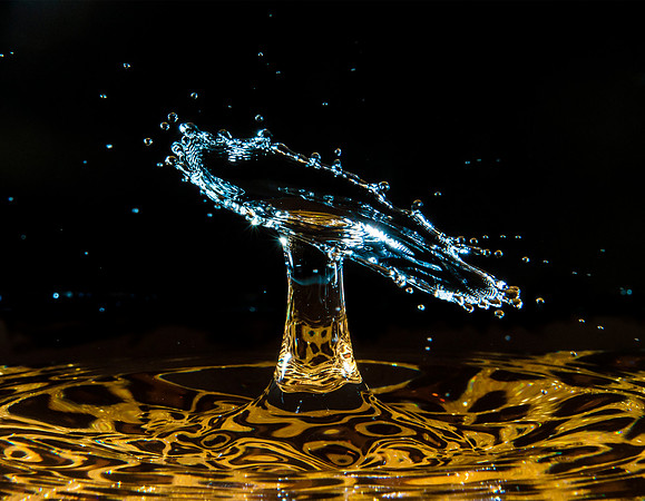 Water Drops
