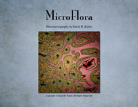 MicroFlora