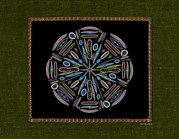 Diatom Designs