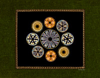 Diatom Designs