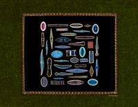 Diatom Designs