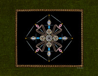 Diatom Designs