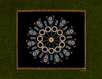 Diatom Designs