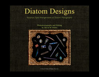 Diatom Designs