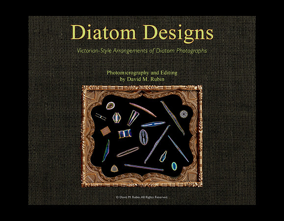 Diatom Designs