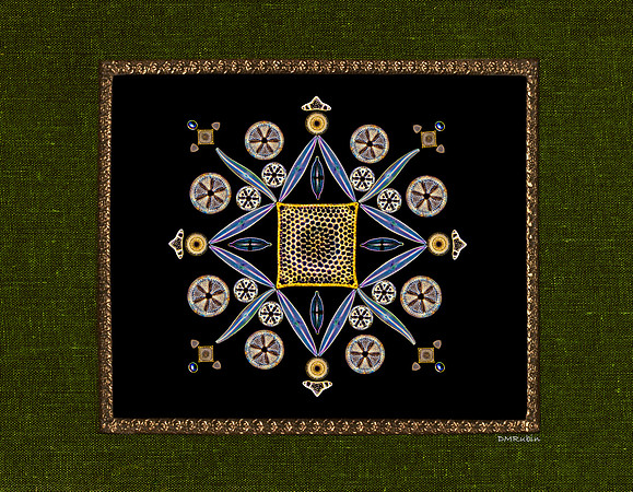 Diatom Designs
