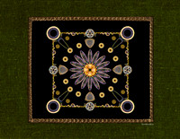 Diatom Designs