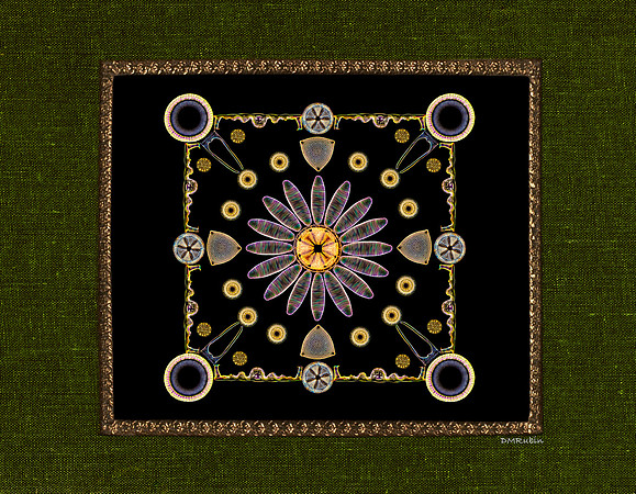 Diatom Designs