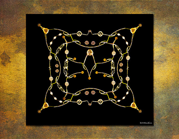 Radiolarians