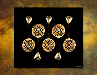 Radiolarians