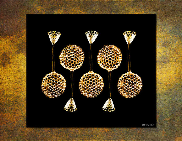Radiolarians