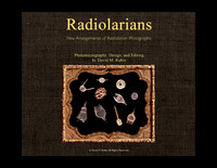 Radiolarians