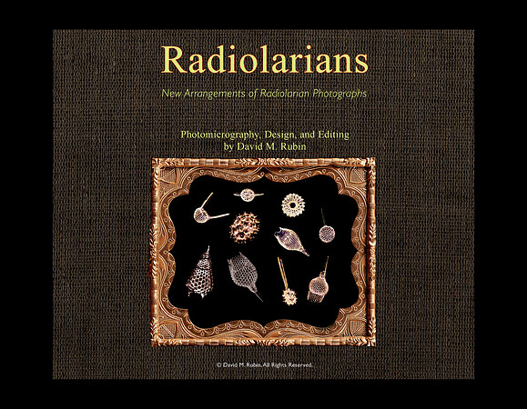 Radiolarians