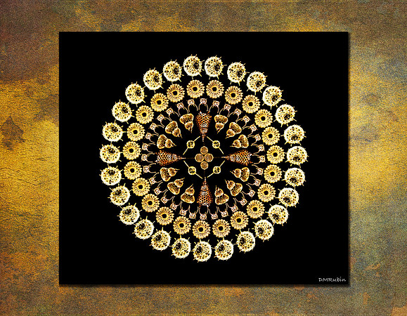 Radiolarians