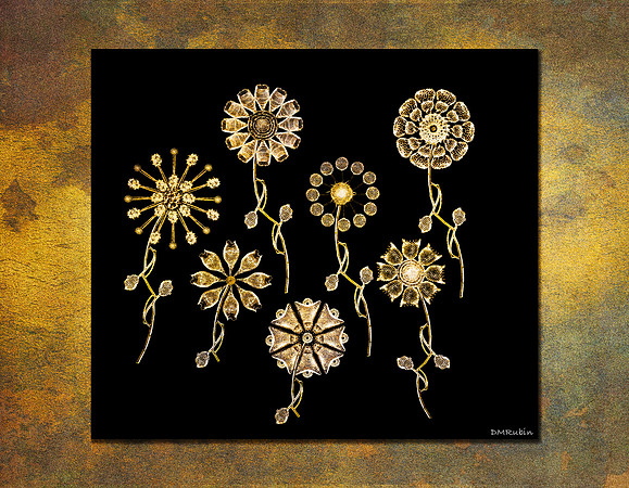 Radiolarians